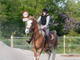 IMG_0691_web